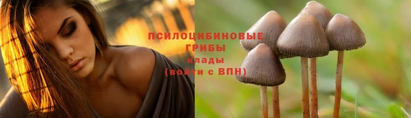 амфетамин Алзамай